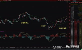 量价齐升！A股券商板块异动透露何种信号？（期货交易直播间）2025年11月7日恒指、期货市场流动性波及效应分析。