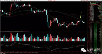 周期共振买点乍现？A股“周期军团”异动暗藏玄机，期货直播间深度解析11月7日恒指、原油脉动与基金轮动密码