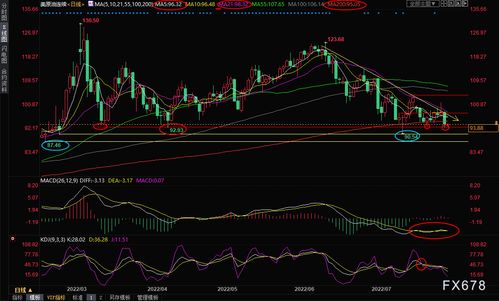 国际原油价格跌破关键支撑位，国际原油价格涨跌