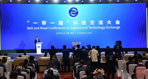 2025年11月7日国际期货直播室市场动