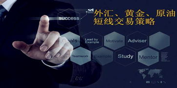 2025年11月7日国际期货直播室热点策