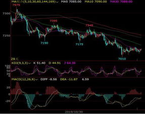 驭势而行，决胜千里：2025年11月9日期货直播室市场深度解析与明日策略前瞻