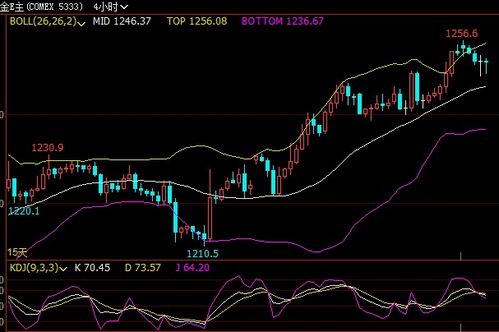 黄金期货直播室明日布局：把握先机，恒指实时应对策略解锁财富密码