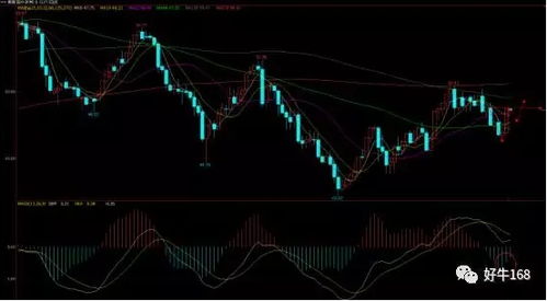 决胜2025！国际期货直播室11月10日纳指恒指实况，洞悉先机，赢取未来！