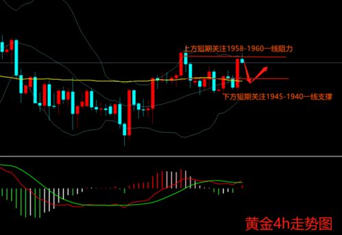 德指实盘直播室：盘中策略与多空思路，德指开盘和收盘时间