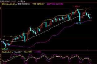 恒指夜盘直播室：晚间行情与策略更新，恒指交易直播