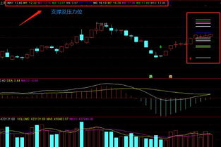 恒指实盘直播间：即时讲盘与交易提示，恒指投资直播