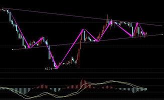 原油行情解析直播室：主力动向深度分析，原油在线直播