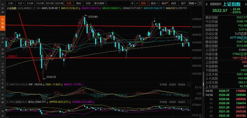 今日期货策略直播室：高胜率交易机会解析，今日期货市场实情