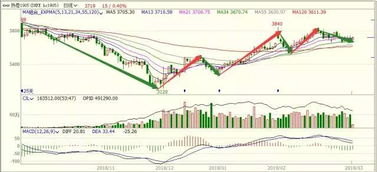 期货市场直播室：主力行为与支撑阻力解析，期货主力机构