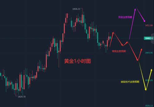 原油实盘直播室：交易员现场讲解操作策略，现货原油直播室喊单
