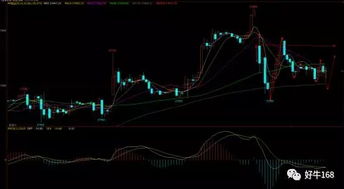 恒指期货直播室盘中策略解密（期货交易直播间）：纳指、原油、黄金实时解读