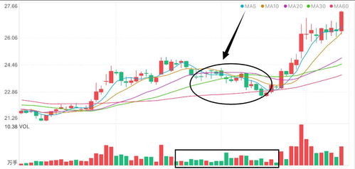 【短线擒牛型】借势纳指黄金原油，捕捉明日A股强势品种——2025年11月12日期货交易直播间深度解析
