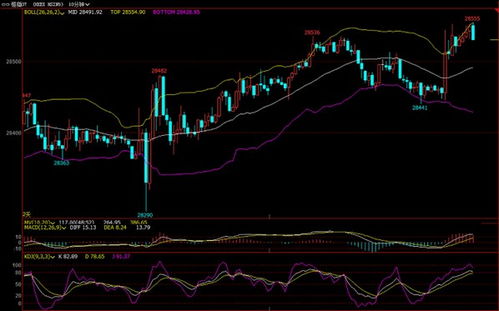 【明日最新前瞻】2025年11月13日恒指期货直播室（期货交易直播间）聚焦纳指与深证指数机会