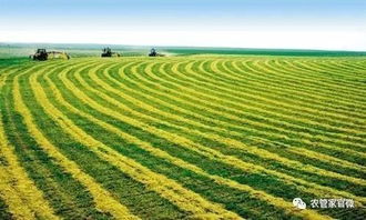 农产品期货：全球农业生产的变化对市场的冲击，农产品期货行情分析