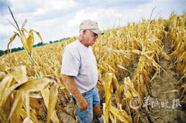 农产品期货：天气变化对棉花和大豆价格的影响，2021棉花期货价格影响因素