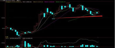 农产品期货：全球农产品需求对价格的影响分析，农产品期货市场相关理论