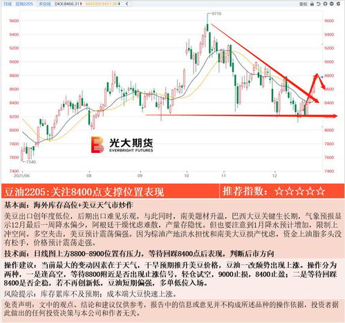 德指期货直播室（期货交易直播间）2025年11月13日策略建议：基金板块或成领涨方向
