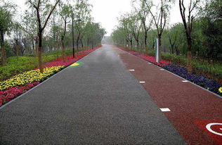 郑州透水混凝土路面施工做法：打造绿色智慧城市的理想选择