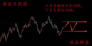 黄金原油风云变幻，A股恒指纳指何去何从？2025年布局策略抢先看！