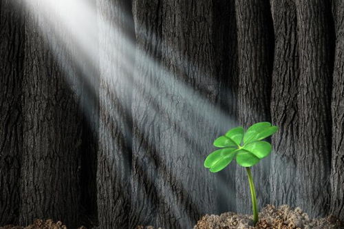 纳指直播间全程跟踪（期货交易直播间）：A股与深证指数最新动态，明日黄金期货预测