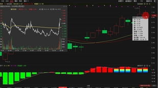 2025年11月14日A股与黄金期货预测