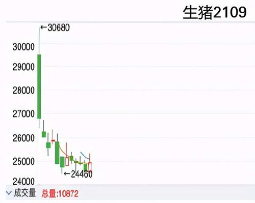 【主力的“交易笔记”】国际期货直播室（期货交易直播间）2025.11.13：揭秘今日A股、恒指、原油共振背后的资金意图，明日基金调仓路径图。