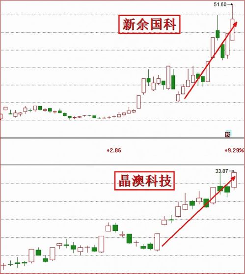 明日预警：2025年11月15日基金重仓股面临考验？（期货交易直播间）