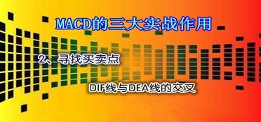 纳指技术直播室：指标组合与买卖点提示，纳指 pe