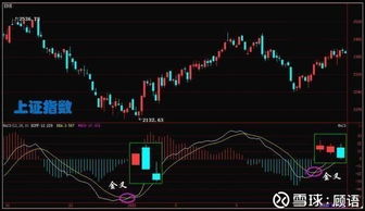 交易员思维——深证指数缩量时，专业交易员在关注什么？（期货交易直播间）