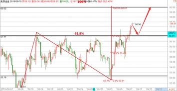 原油市场观察直播间：全球能源面影响解析，全球能源紧张