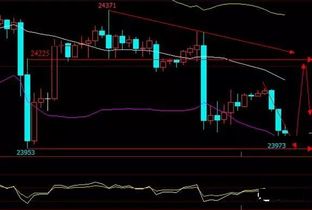 【双线擒牛】一手恒指期货，一手A股基金，明日如何配置？（期货交易直播间）