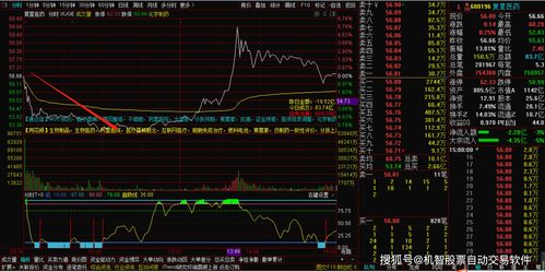资金密码：主力资金正从A股流向这里（期货交易直播间）-2025.11.14德指、原油期货直播室捕捉下个风口