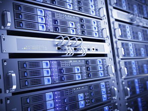 直播服务器，直播服务器搭建费用-主机测评网-专业的测评发布平台