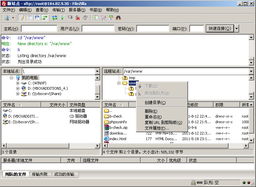 美国vps，国内永久免费vps云服务器-主机测评网-专业的测评发布平台