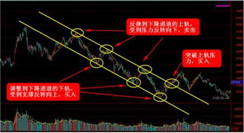 股指波段机会直播间：中线持仓与趋势把握方法，中线持股指标