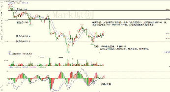纳指今日高位震荡回落（期货交易直播间）黄金原油+A股明日走势一文看懂