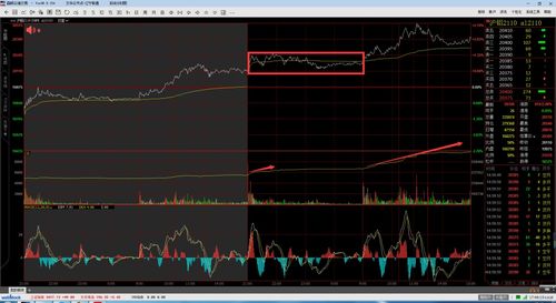 期货直播室：多空力量对比与短线节奏提示，期货多空力量分析