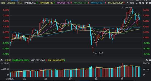 A股今日震荡走高，期货与纳指直播间洞悉明日行情
