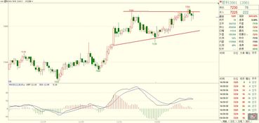 决战风云：11月17日国际期货多空激战，A股指数明日（18日）策略前瞻