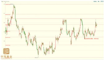 震荡行情破解之法：期货直播间教你黄金高抛低吸的稳健盈利之道