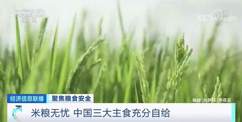 全球粮食危机预警：期货直播间里的豆粕玉米价格风云变幻