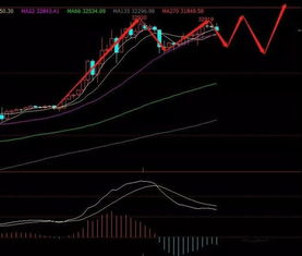 从基金稳健到期货风云：解锁恒指、原油、黄金的实战交易新篇章