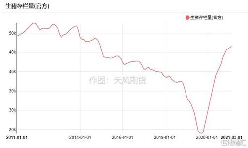 A股消费板块“慢牛”还是“熊途”？豆粕生猪期货深度解析需求端真相