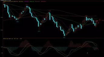 决胜全球市场：恒指期货直播室带你领航原油、德指交易新纪元
