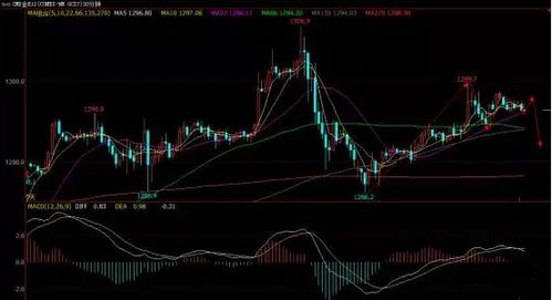 决胜千里之外：国际期货直播室带你玩转黄金与原油的财富密码！