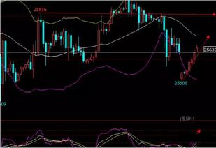 洞悉先机，决胜千里：恒指期货直播室与深证指数基金的黄金布局之道