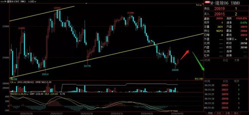 纳指期货直播室：点燃深证爆量热点，解锁恒指最新策略，把握全球交易脉搏！