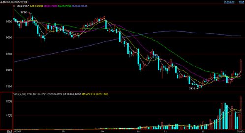 恒指直播间实时研判，深证指数基金异动监测：把握先机，智赢未来！