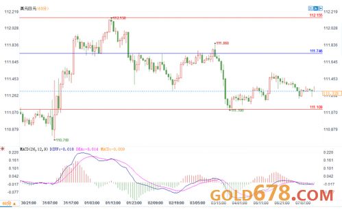 双十一：不止于“买买买”，一场关于供需与资本的金融盛宴！（期货交易直播间）